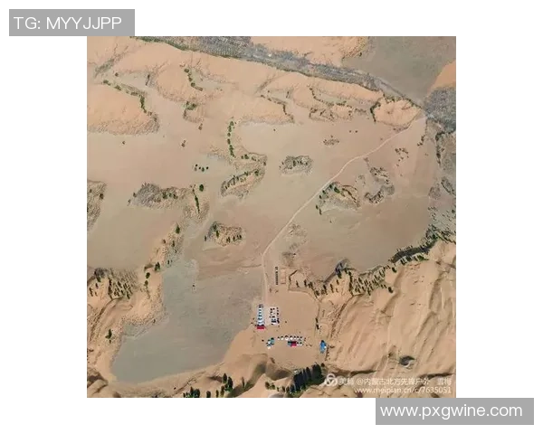 深度分析上海攀岩队的战术布局与控制技巧解析