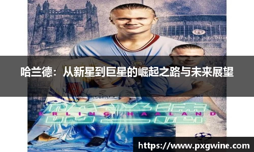 哈兰德：从新星到巨星的崛起之路与未来展望